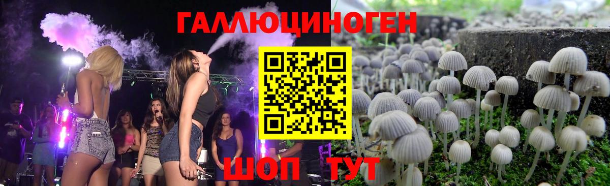 Псилоцибиновые грибы прущие грибы Котельники