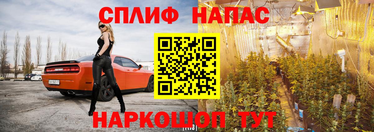 APVP Котельники